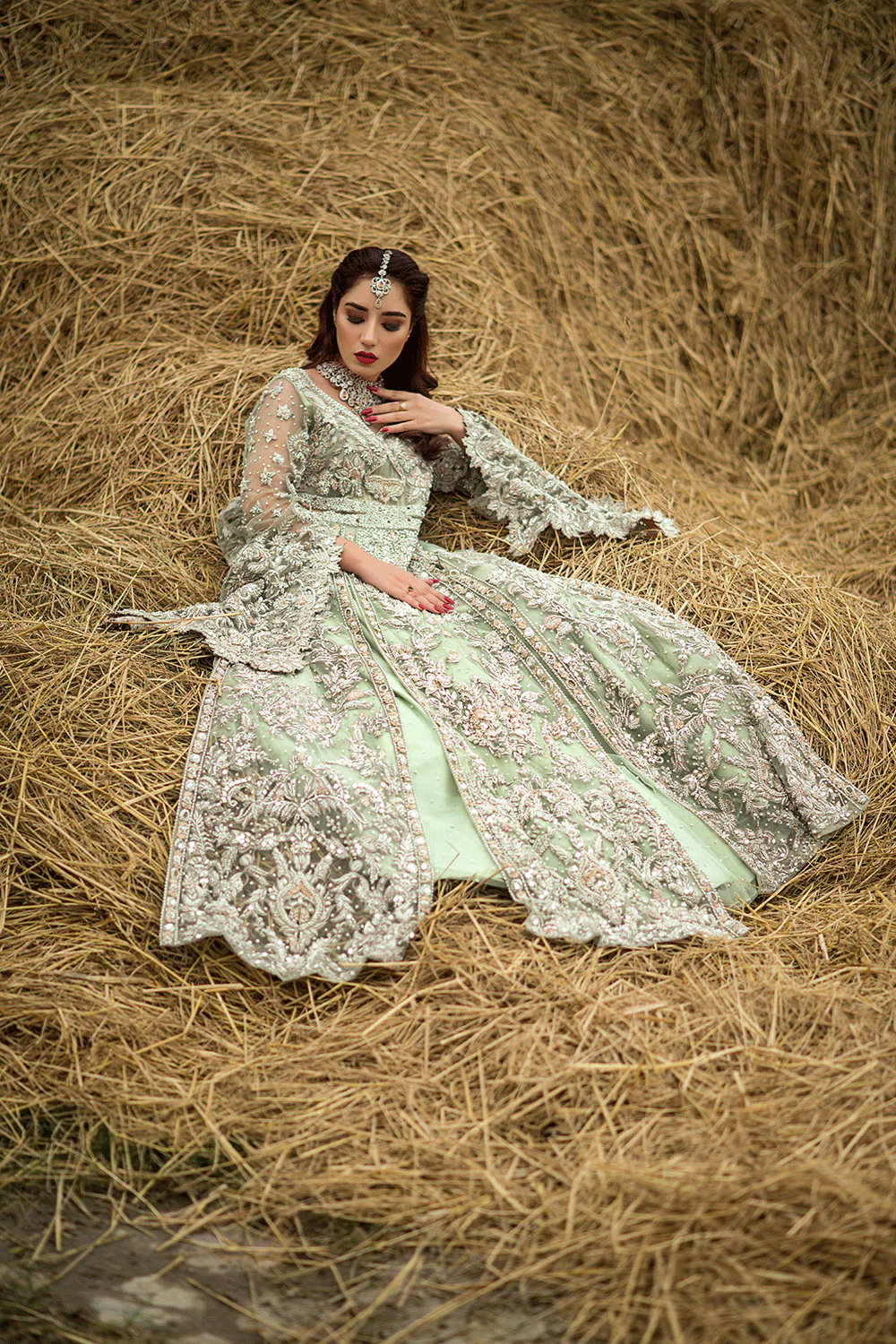 SABZ (SBSG 1) - Image 3