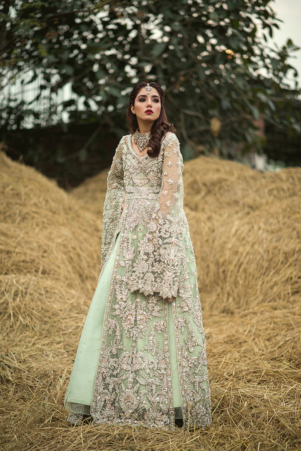 SABZ (SBSG 1) - Image 5